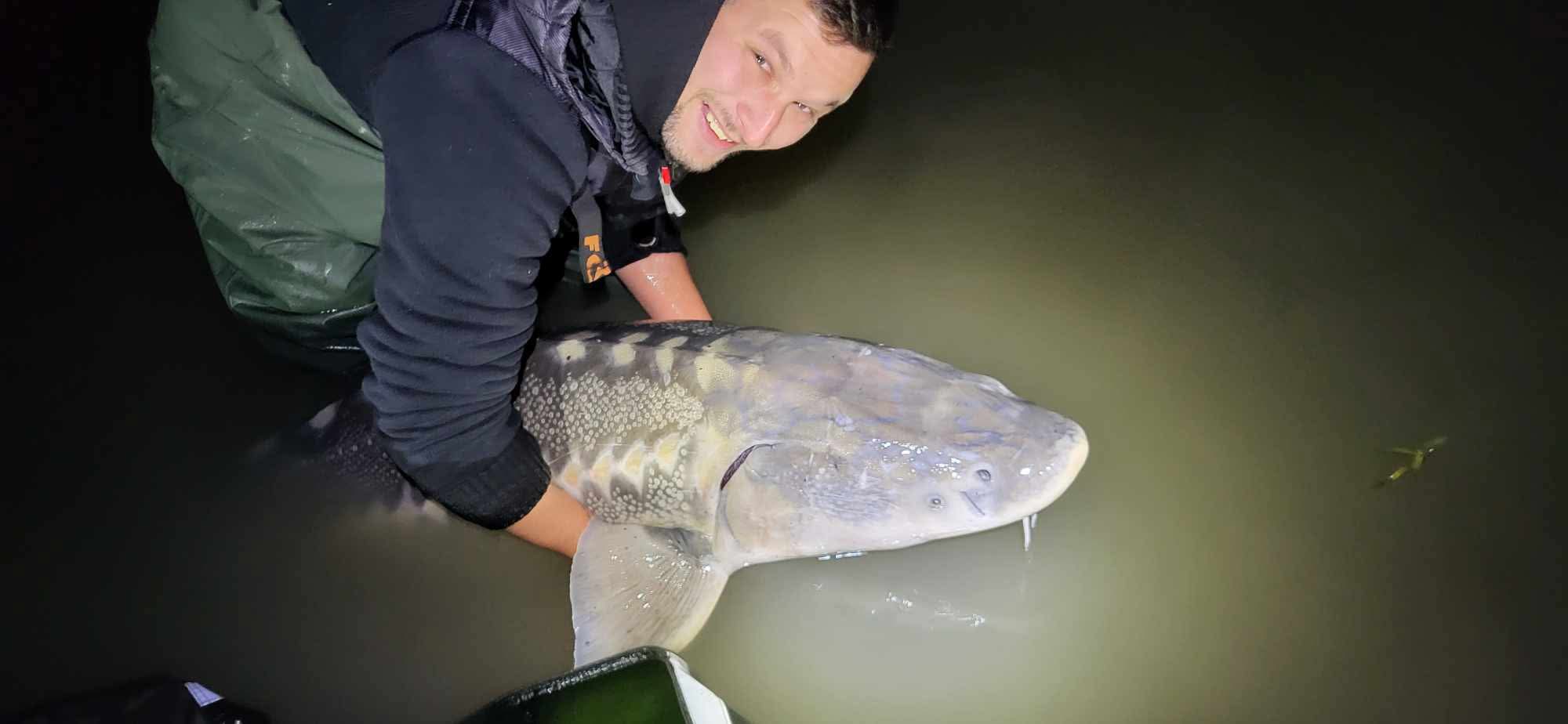 Zozo Fish Baits bojlival fogott hal 12